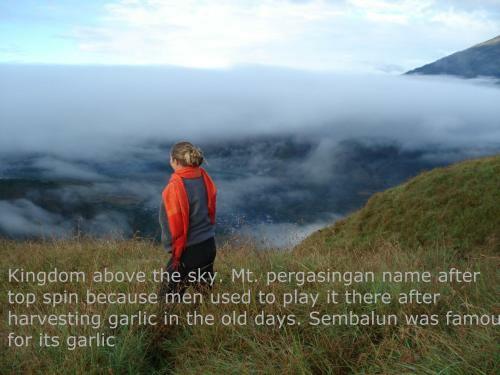 Lembah Rinjani Villa & Resto