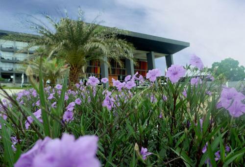 Hotel Swiss-belresort Belitung