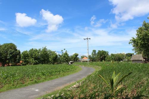 The Mel Huts