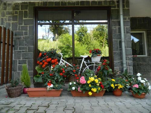 Apartamento Casa Anette