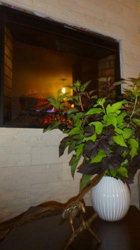Hostal Sas Szallo