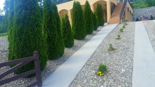 Hostal Casa Mircea
