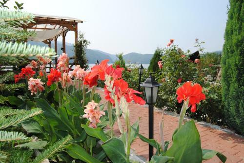Hostal Pension La Ponton