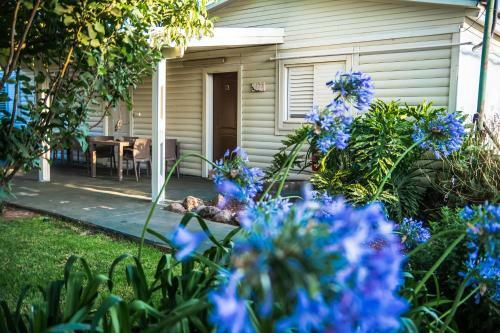 Hostal Etzel Tami Hospitality
