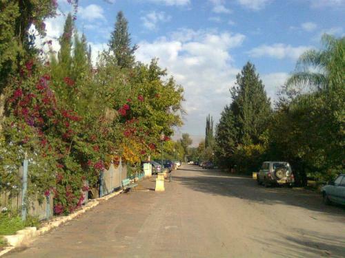 At Our Yard - Vacation Apartments In Upper Galilee