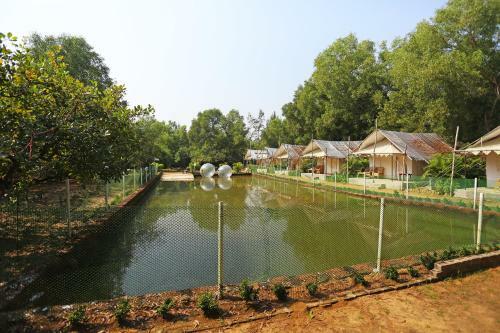 Oyo 10981 Hotel Jungle Camp