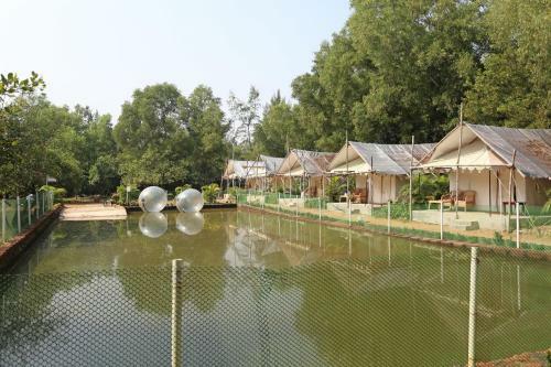Oyo 10981 Hotel Jungle Camp