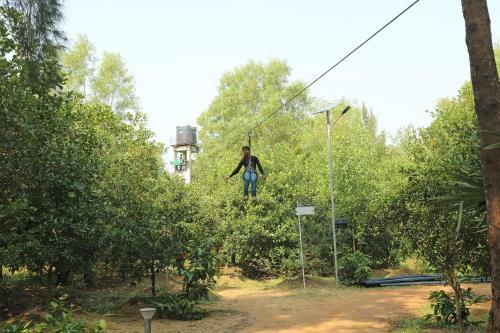 Oyo 10981 Hotel Jungle Camp