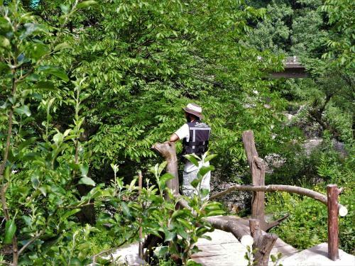 Great Himalayan Adventure Camping, Jibhi