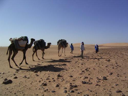 Bed & Breakfast Fibule Du Draa Kasbah D'h�tes