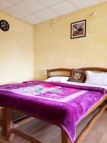 Jungal Resort Sarhi