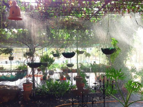 Agroturismo Tooth Mountain Farms
