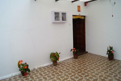Hostal The Golden Ivy