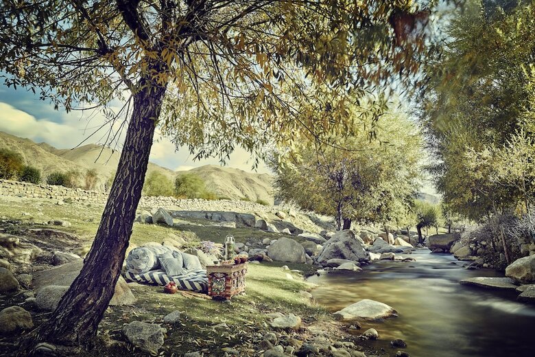 Hotel Chamba Camp, Diskit