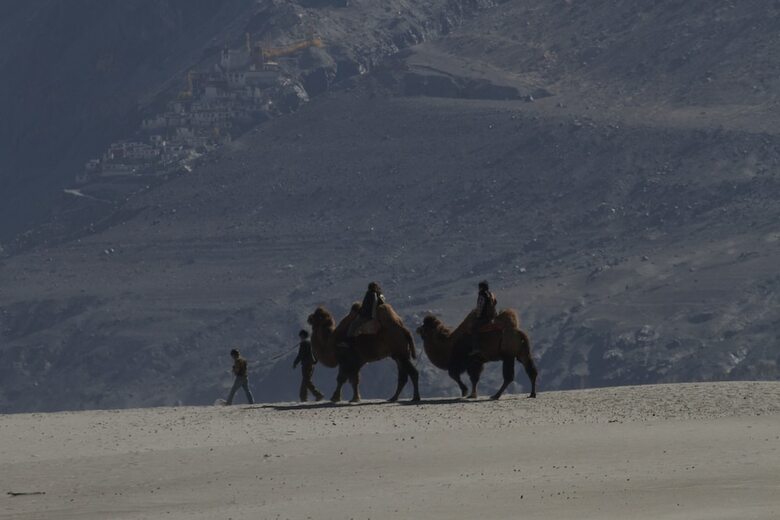 Hotel Chamba Camp, Diskit