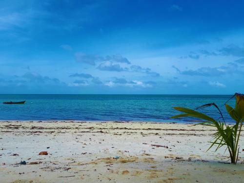 Hotel White Coral Beach Resort