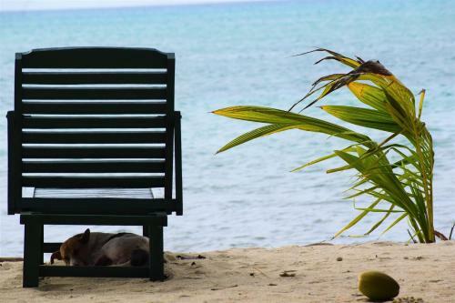 Hotel White Coral Beach Resort
