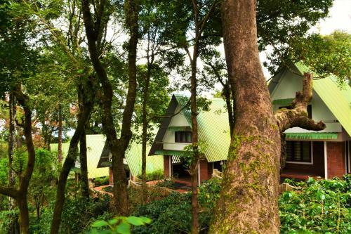 Hotel Misty Woods Resort