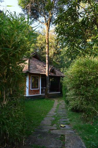 Hotel Misty Woods Resort