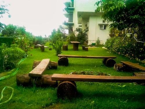 Bed & Breakfast Wildleaf Kasauli -valley Homz