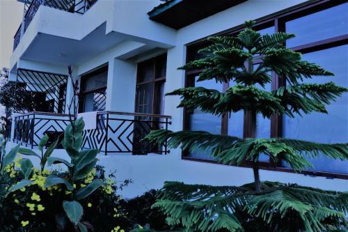 Bed & Breakfast Wildleaf Kasauli -valley Homz