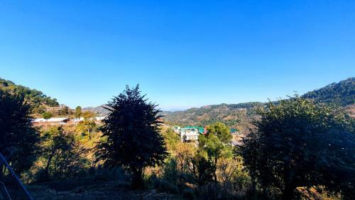 Bed & Breakfast Wildleaf Kasauli -valley Homz