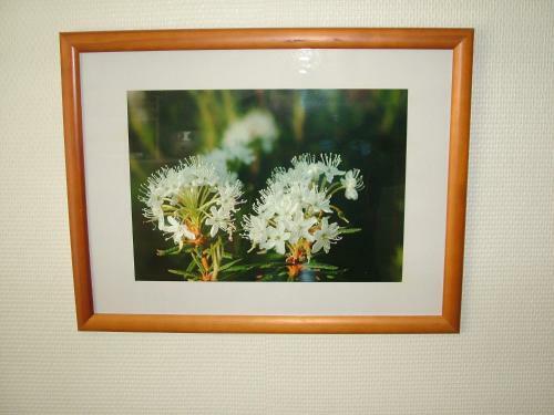 Yll�star 305 Apartment
