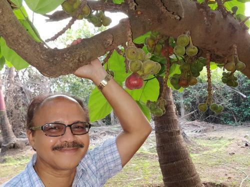 Agroturismo Sneha Farm House