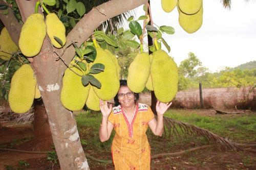Agroturismo Sneha Farm House