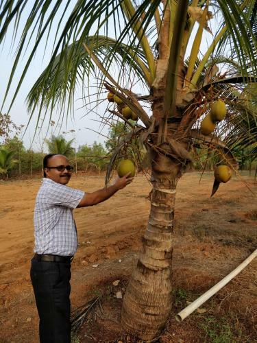 Agroturismo Sneha Farm House
