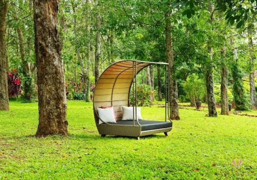 Hotel Anantya Resorts