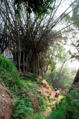 Hotel Amanvana Spa Resort, Coorg
