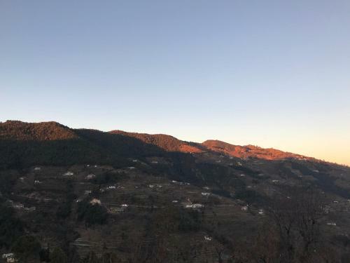 Bed & Breakfast Enchanted Hills