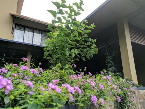 Homestay Namaha