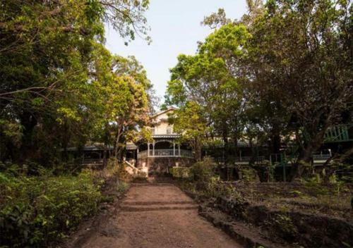 Hotel Dune Barr House - Verandah In The Forest