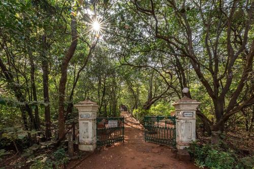 Bed & Breakfast Saffronstays Parsi Manor