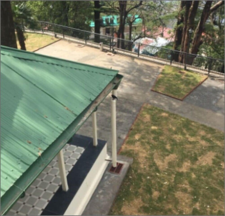Hotel Pine Retreat Mallroad