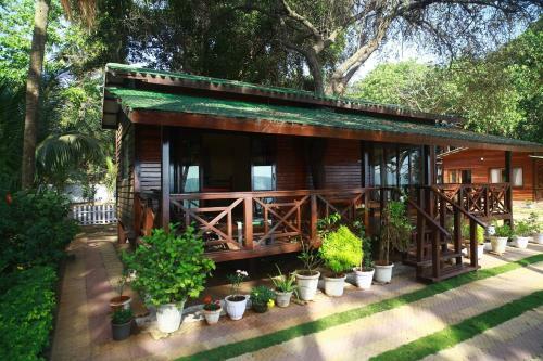 Bed & Breakfast Saffronstays Little Paradise