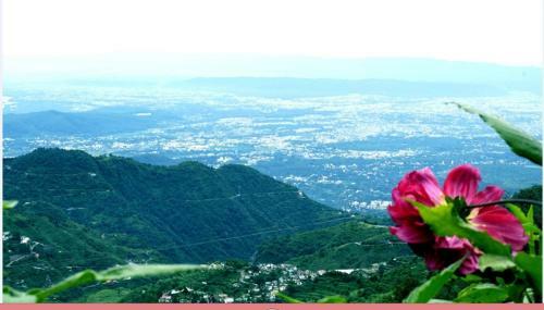 Beechwood Holiday Apartments