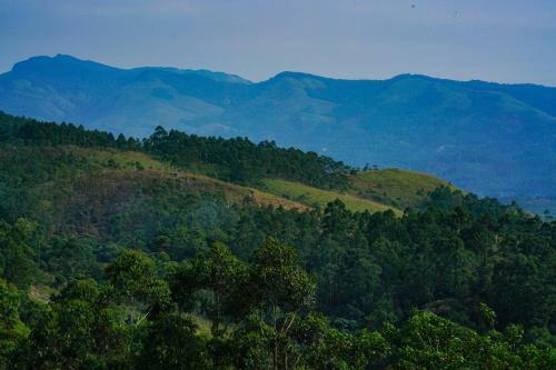 Apartamento Elite 1br Stay In Chinakkanal, Munnar