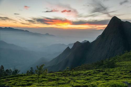 Hotel Hillon Resorts