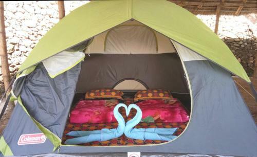 Camp Woody Luxury Camp