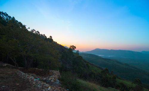 Camp Woody Luxury Camp