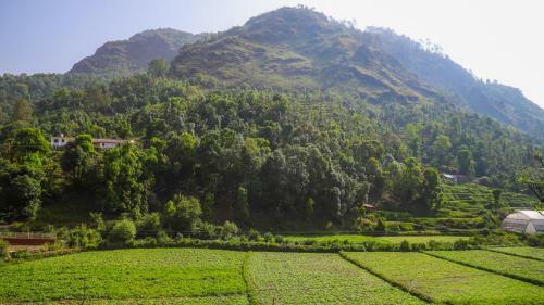 Hotel Jungle Pool Khurpatal