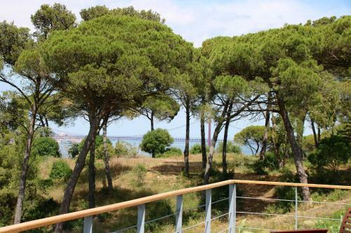 Agroturismo Quinta Do Tagus Village