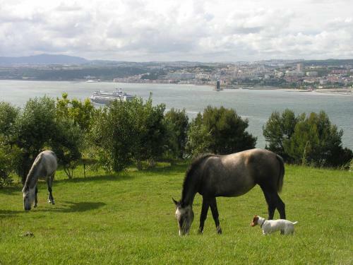 Agroturismo Quinta Do Tagus Village