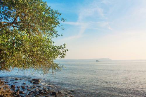Hotel Ahilya By The Sea