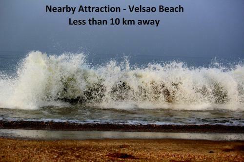 Hotel Oyo 18796 Selfia Guesthouse