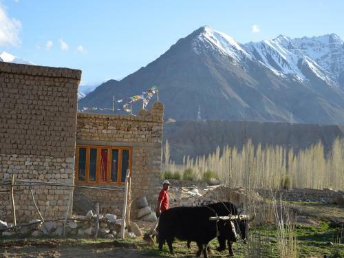 Hotel Nimmu House Ladakh