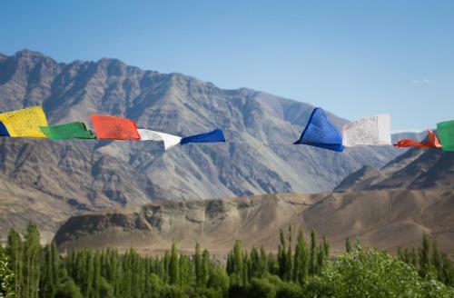 Hotel Nimmu House Ladakh